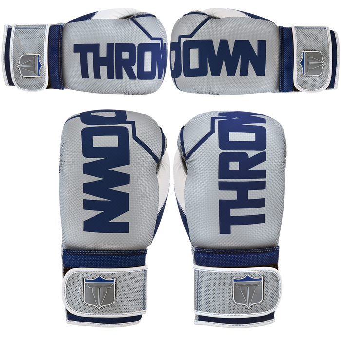 Phenom Boxing Gloves Blue-Silver
